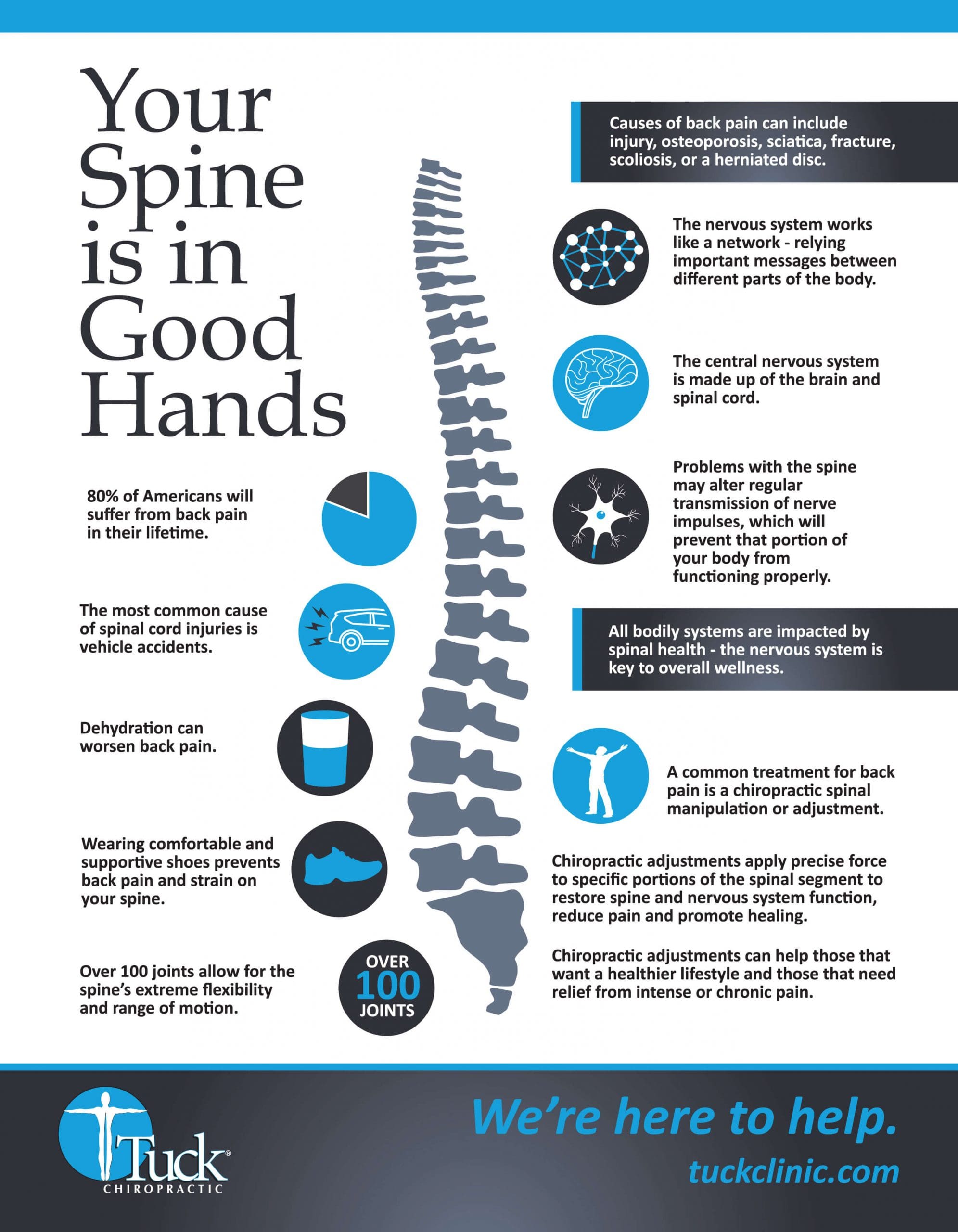 infographic nervous system